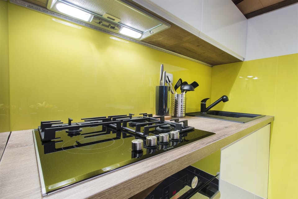 Private kitchen | Fridge, oven, stovetop, dishwasher