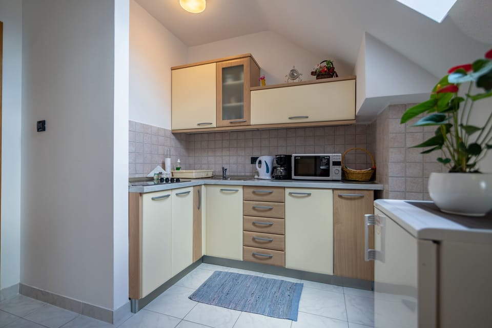 Private kitchen | Fridge, microwave, stovetop, electric kettle