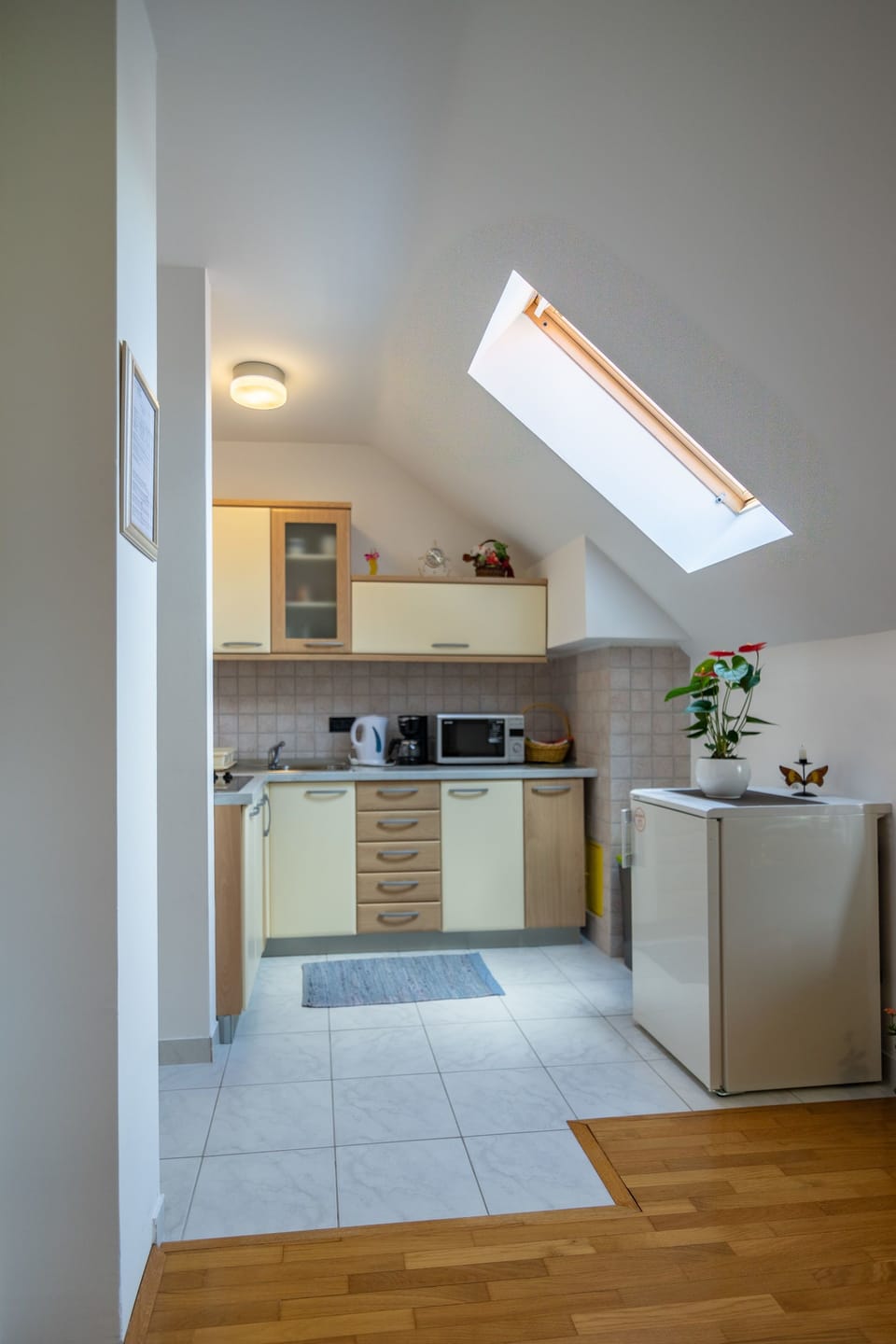 Private kitchen | Fridge, microwave, stovetop, electric kettle