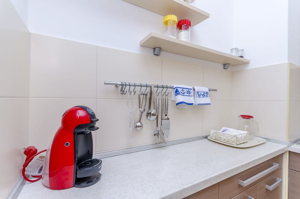 Private kitchen | Fridge, oven, stovetop, dishwasher