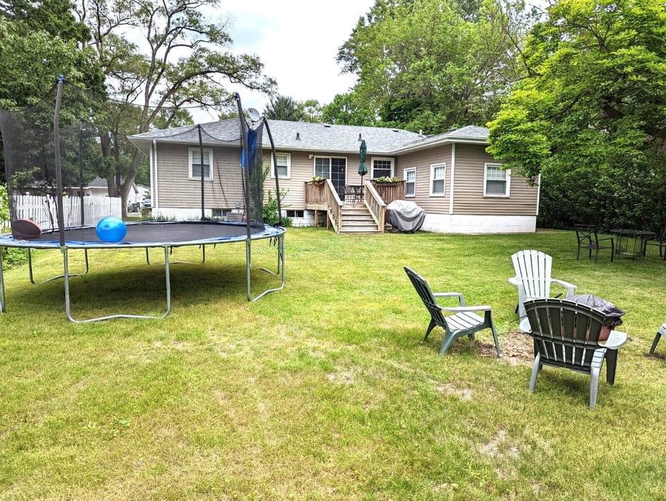 Backyard I