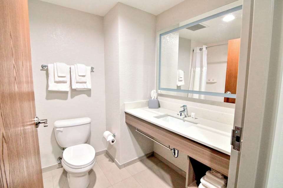 Combined shower/tub, free toiletries, hair dryer, towels
