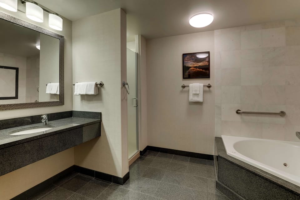 Combined shower/tub, free toiletries, hair dryer, towels