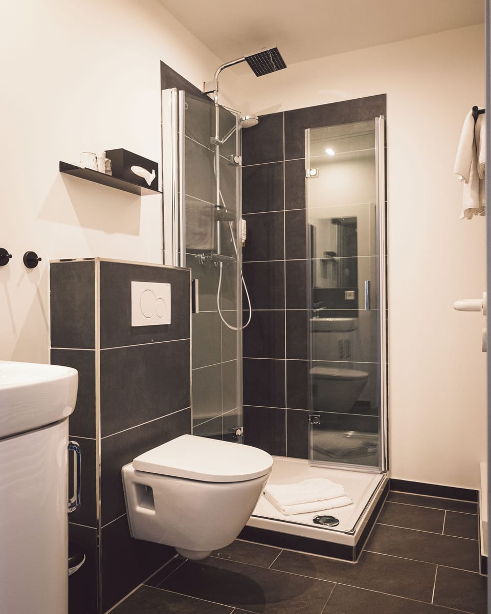 Classic Double Room | Bathroom | Shower, free toiletries, hair dryer, towels