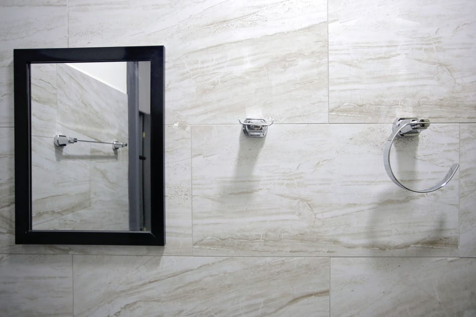 Shower, free toiletries, bidet, towels
