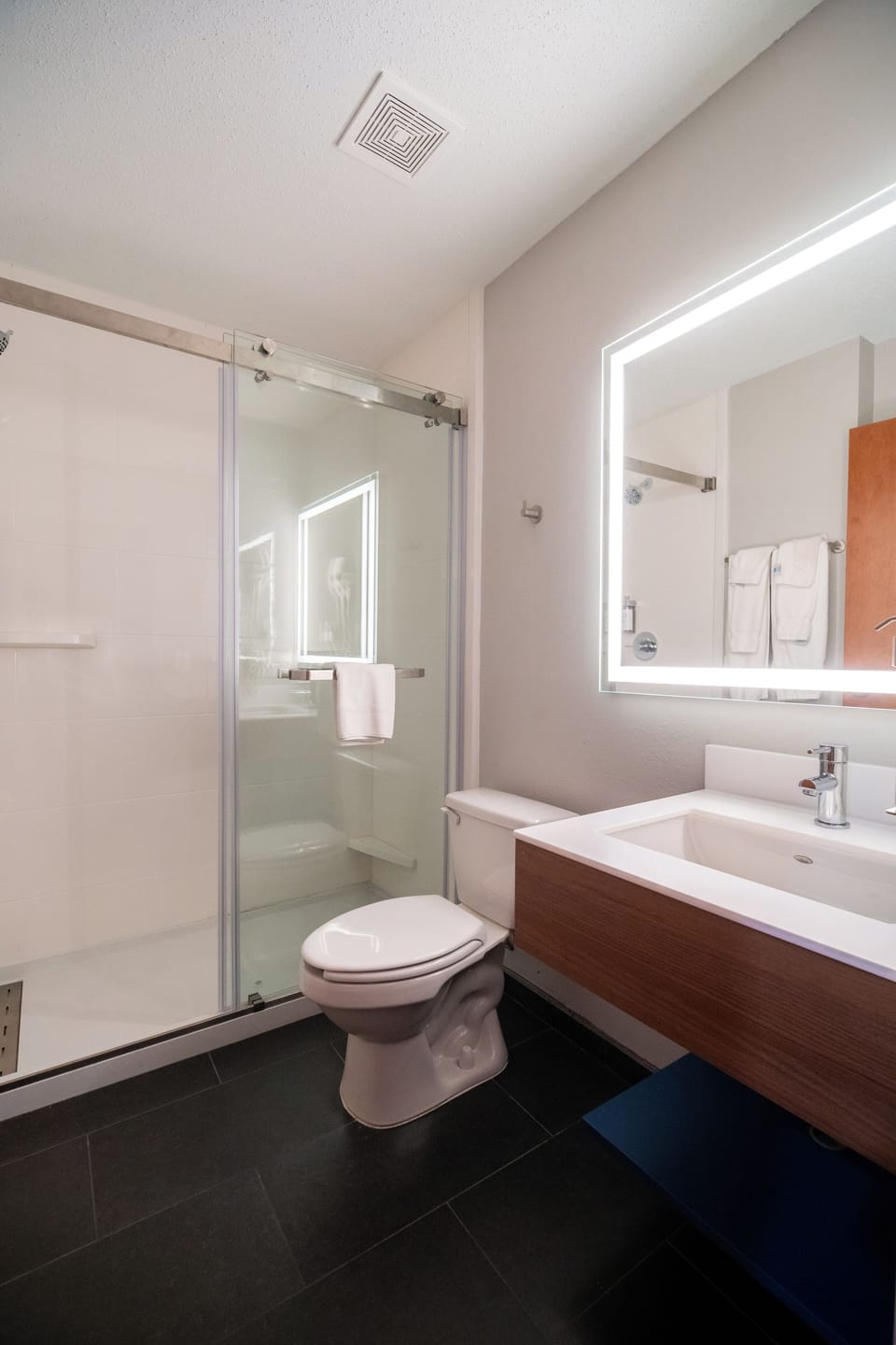 Room, Accessible | Bathroom | Shower, free toiletries, hair dryer, towels