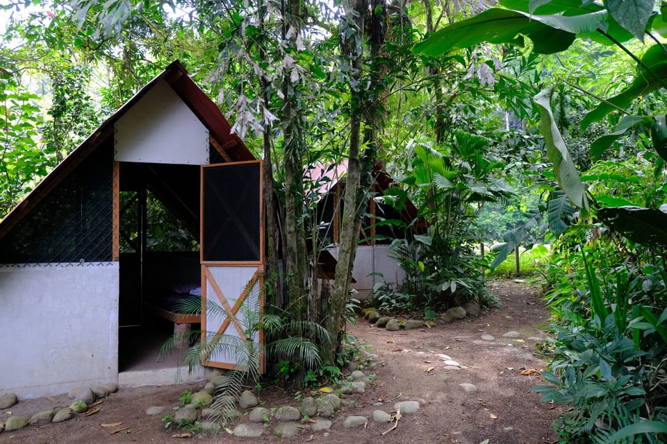 Basic Cabin | 1 bedroom, bed sheets