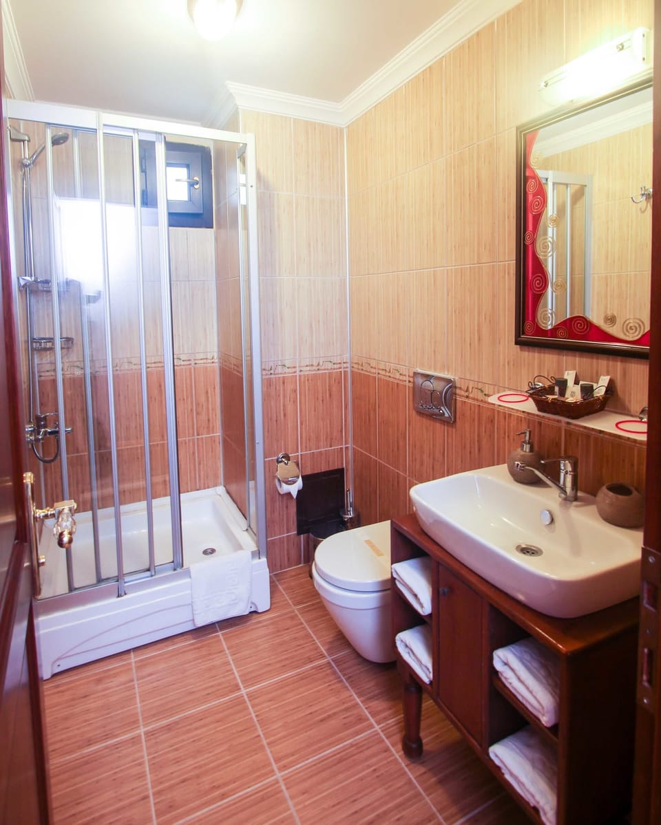 Shower, free toiletries, hair dryer, slippers