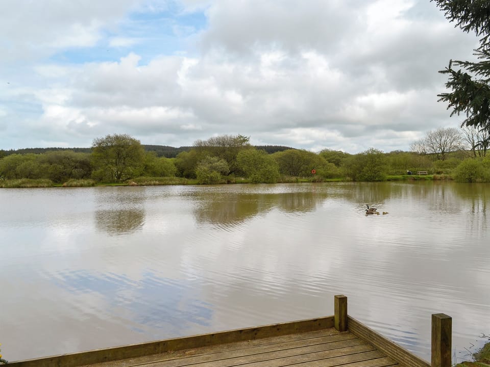 Carp fishing on-site | The Brown House, Woolsery, near Bideford