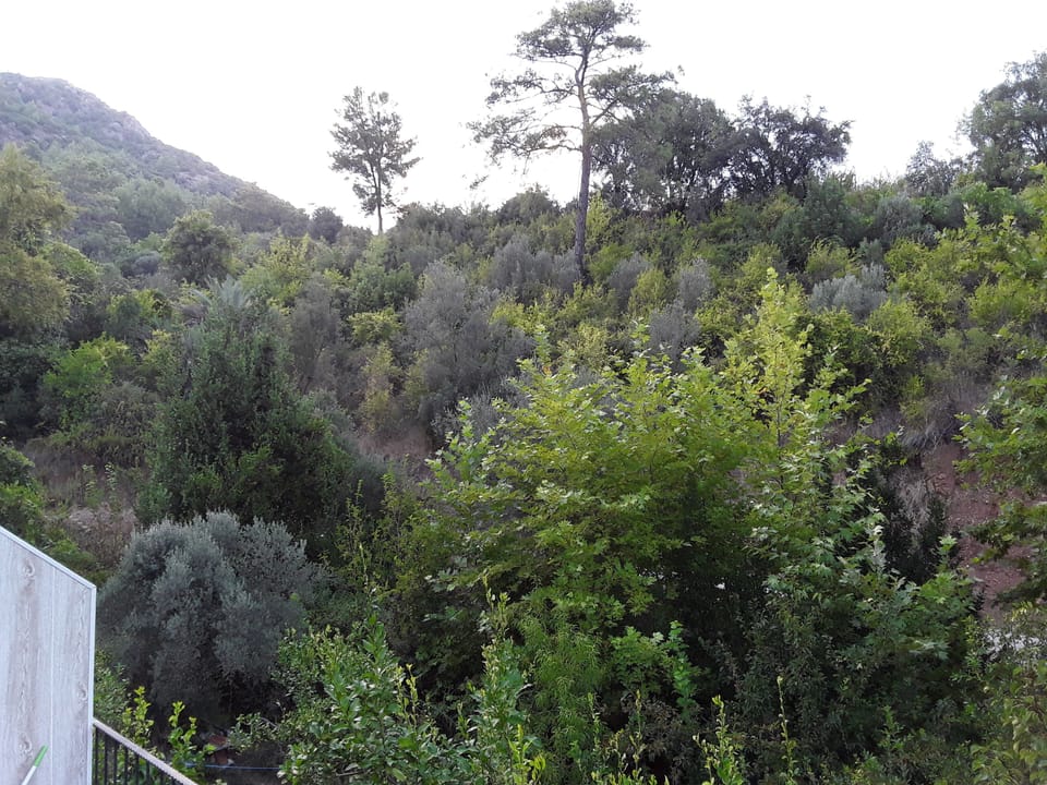 Mountain view