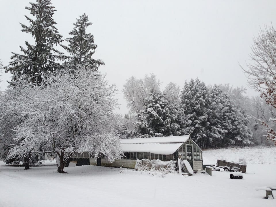 Greenhouse in winter