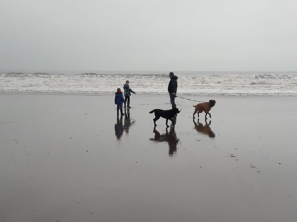 stroll on beach