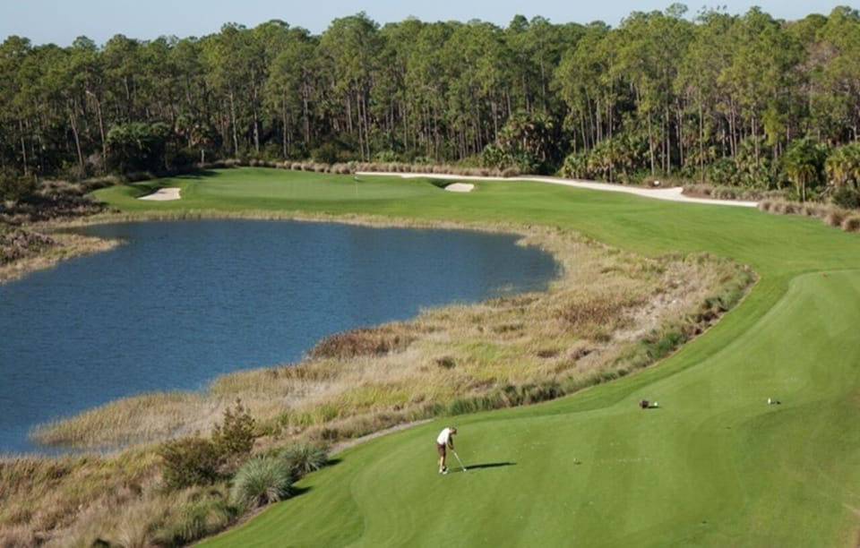 TPC golf course