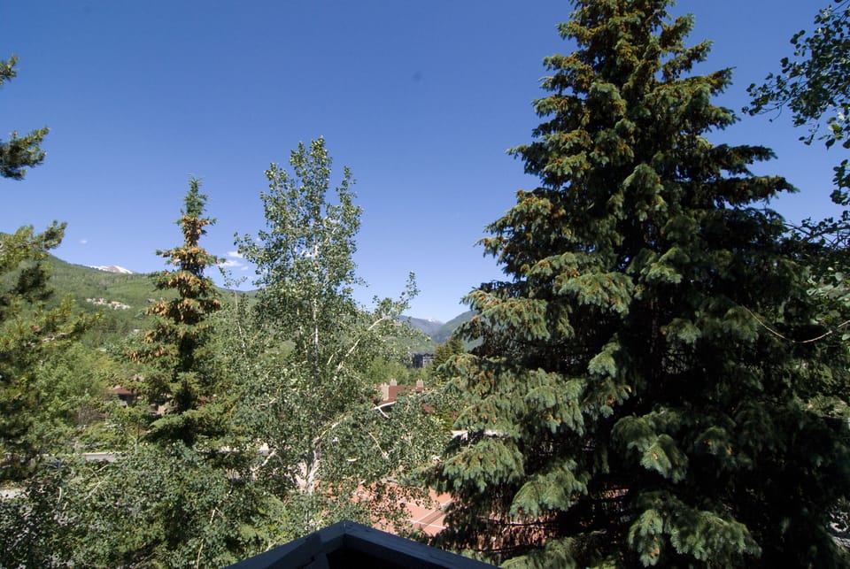 View of Vail Mountain