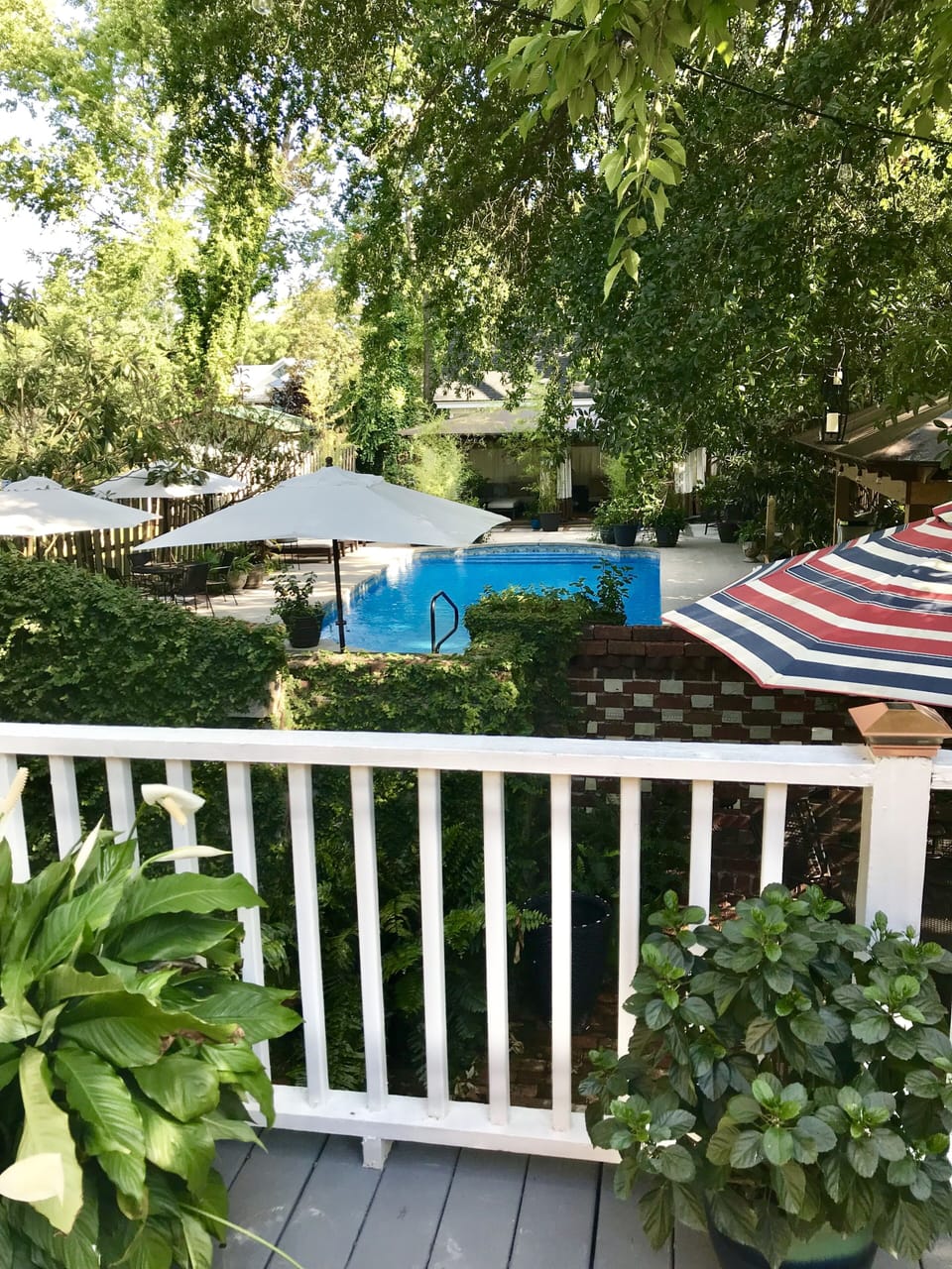 View of pool from back deck