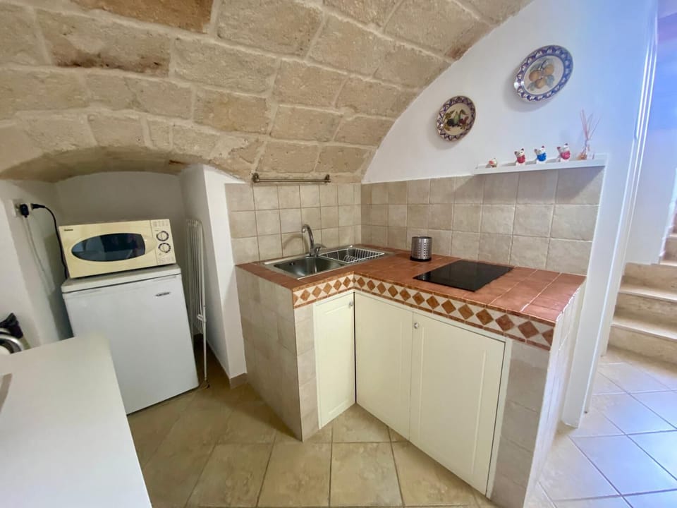 Basic Apartment, 1 Bedroom (Bomboniera) | Private kitchen | Fridge, microwave, stovetop, electric kettle
