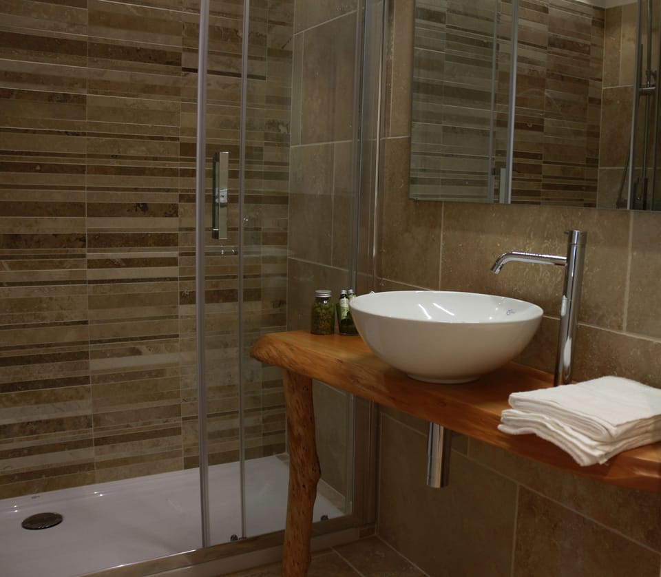 Rainfall showerhead, free toiletries, hair dryer, bidet