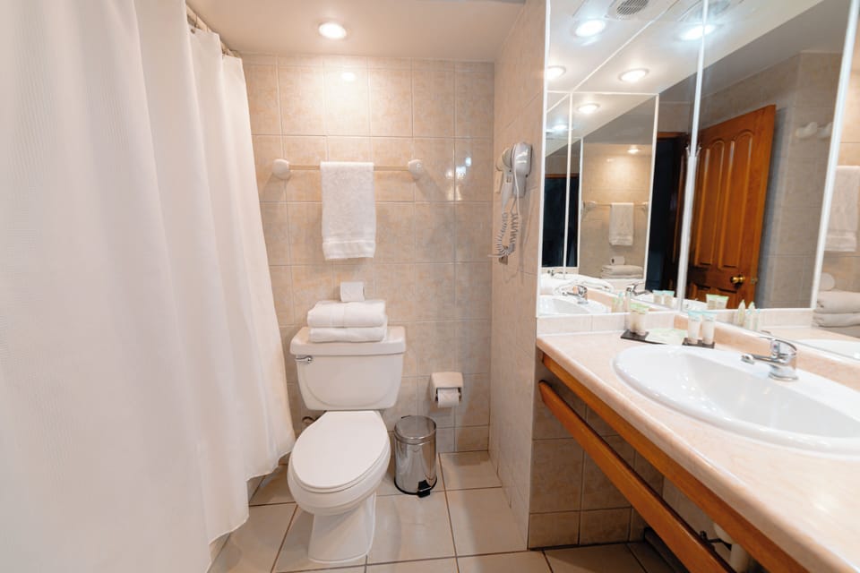 Combined shower/tub, deep soaking tub, free toiletries, hair dryer