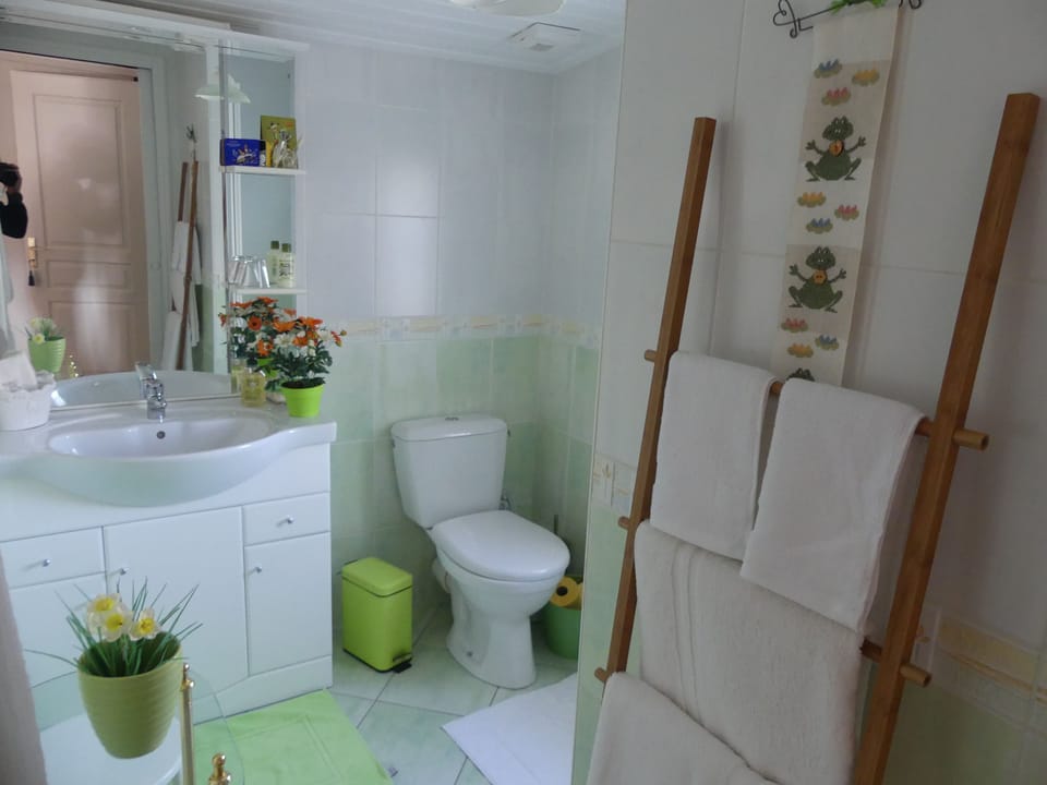 Double Room | Bathroom | Shower, free toiletries, hair dryer, bathrobes