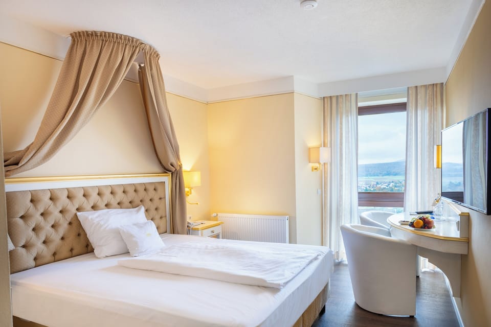 Business Single Room | Minibar, in-room safe, desk, soundproofing