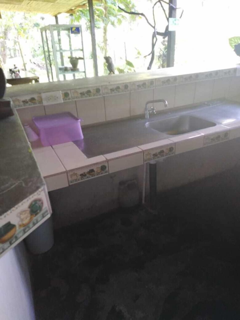 Finca Guarumo - Hostel Hostel in Heredia Province
