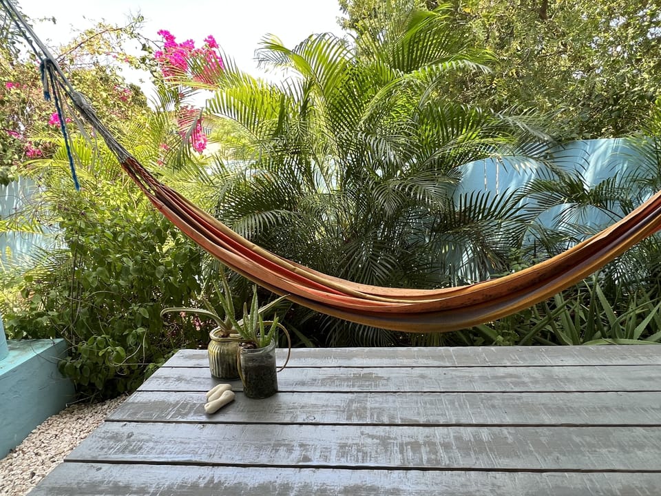 The outside porch is hidden in the tropical garden Enjoy the birds in the garden