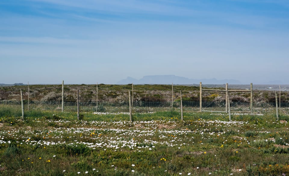 View of Table Mountain