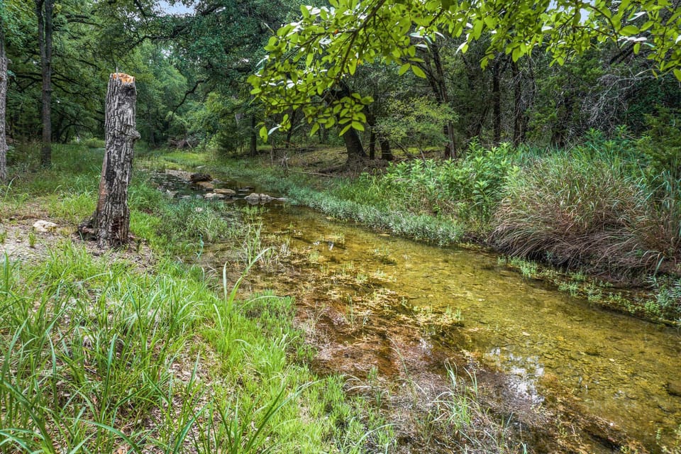 Beautiful crystal clear creek in rear of property