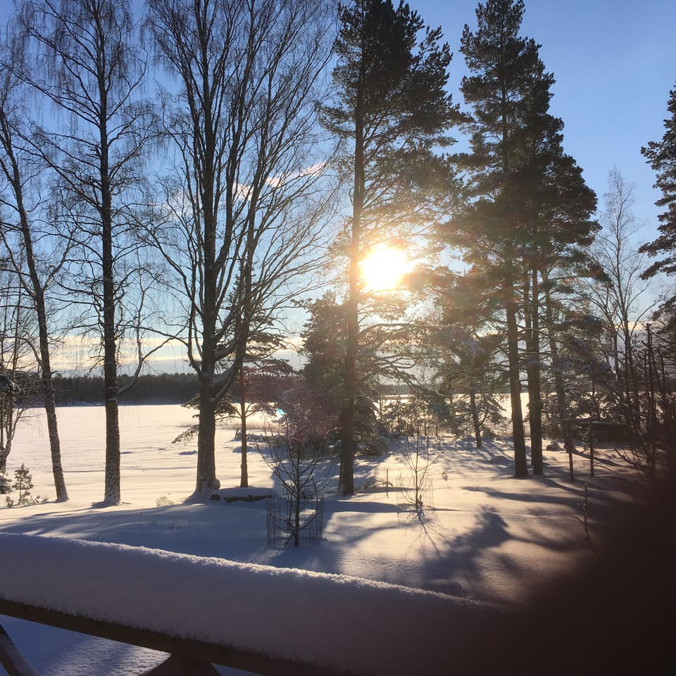 Winter at Solhem
