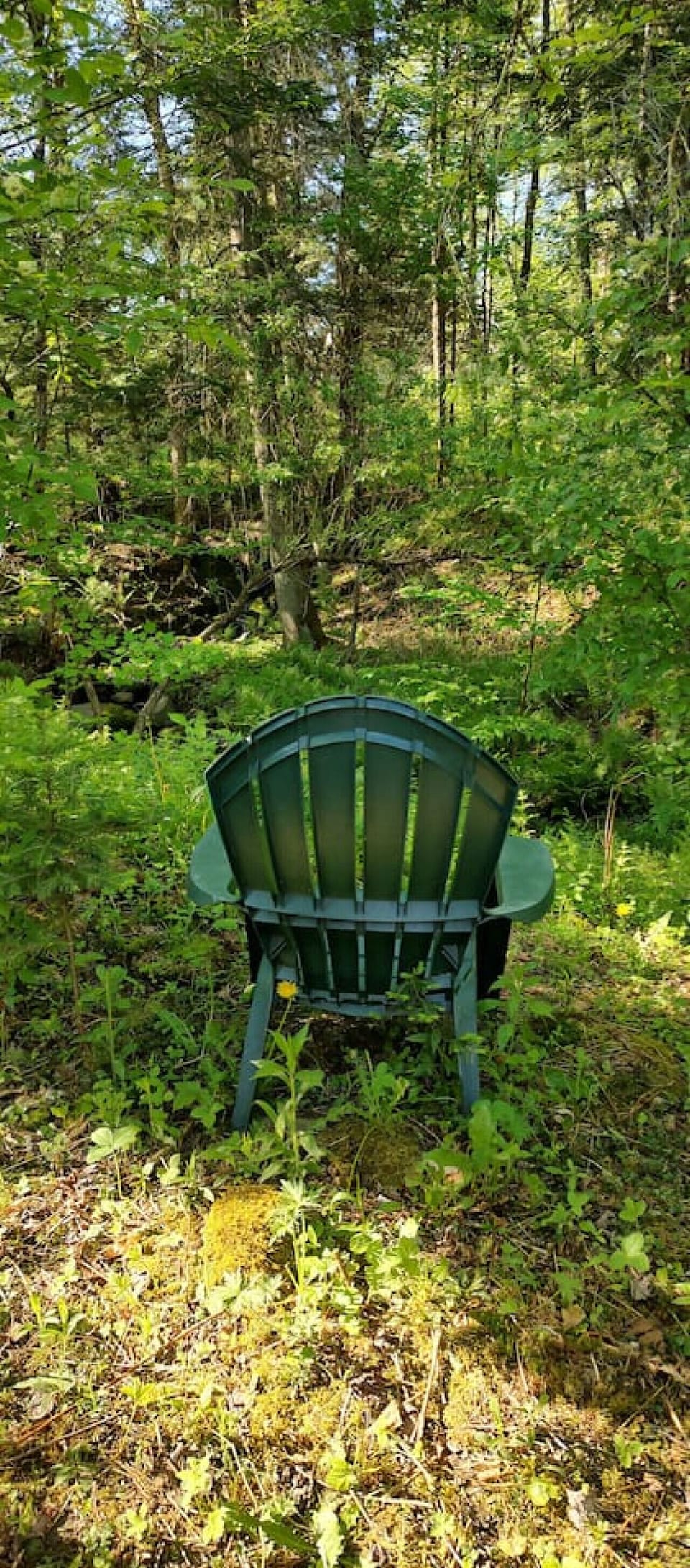Escape to nature