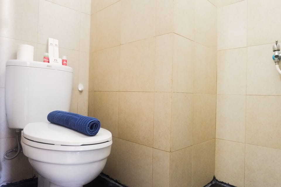Room | Bathroom | Shower, free toiletries, towels