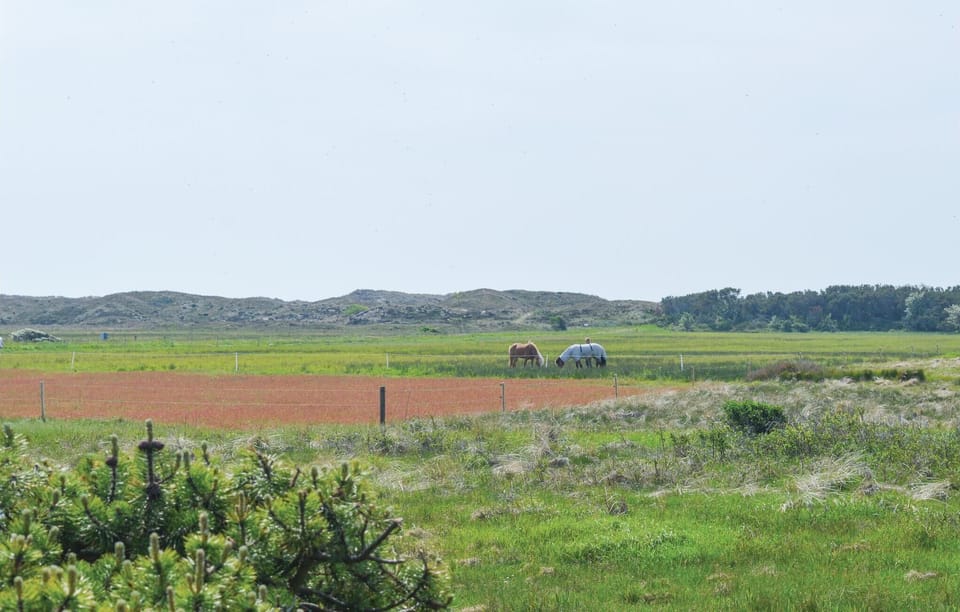 area