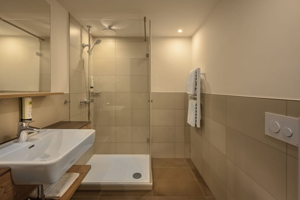Rainfall showerhead, hair dryer, towels, soap