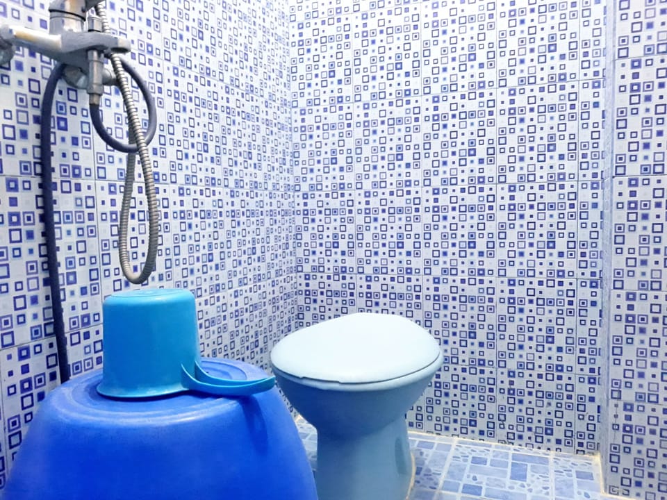 Panoramic Suite | Bathroom | Shower, bidet, towels, soap