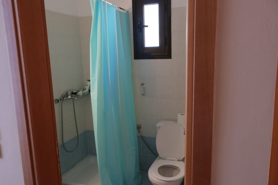 Economy Double Room | Bathroom | Shower, rainfall showerhead, free toiletries