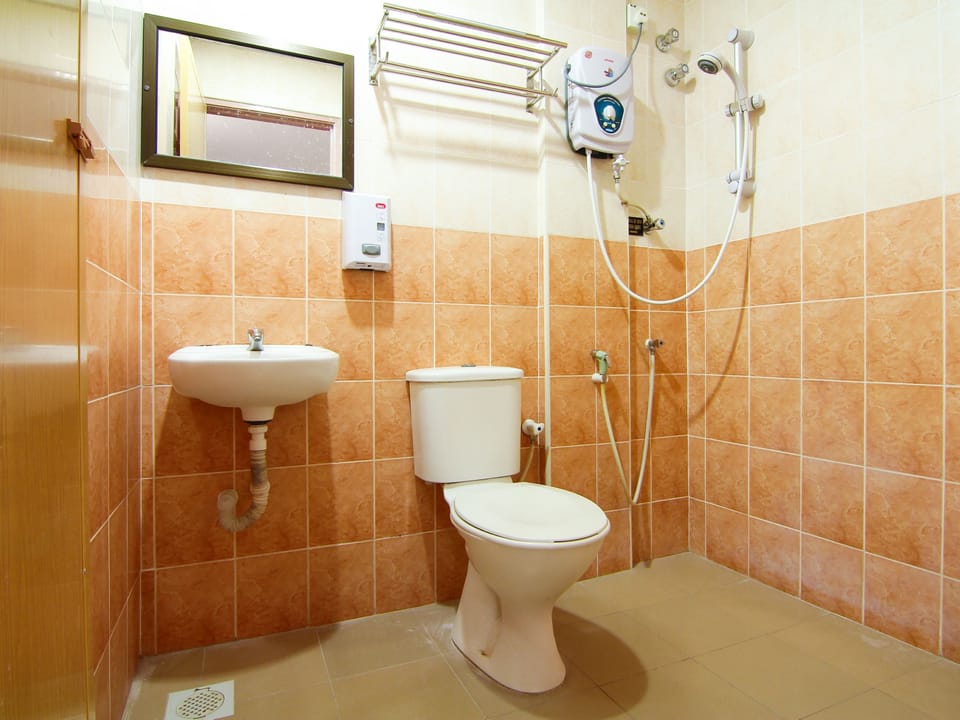 Shower, free toiletries, towels