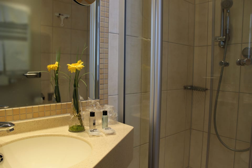 Shower, free toiletries, hair dryer, towels