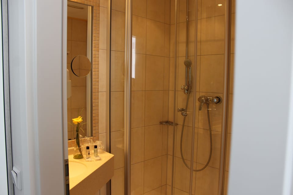 Superior Double Room | Bathroom | Shower, free toiletries, hair dryer, towels