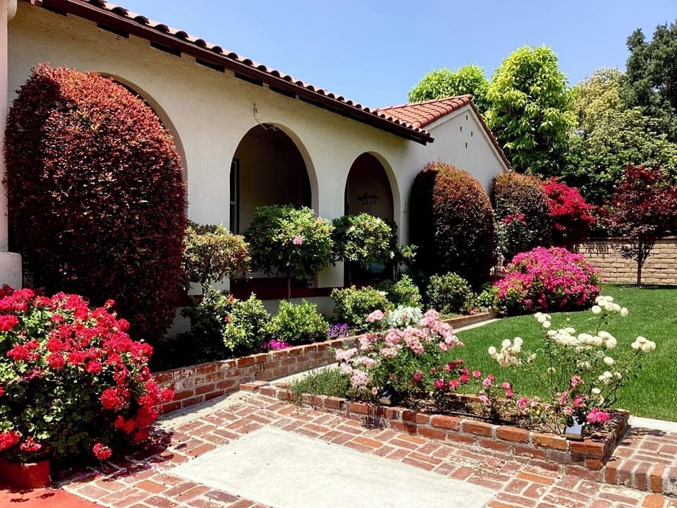 Front Yard