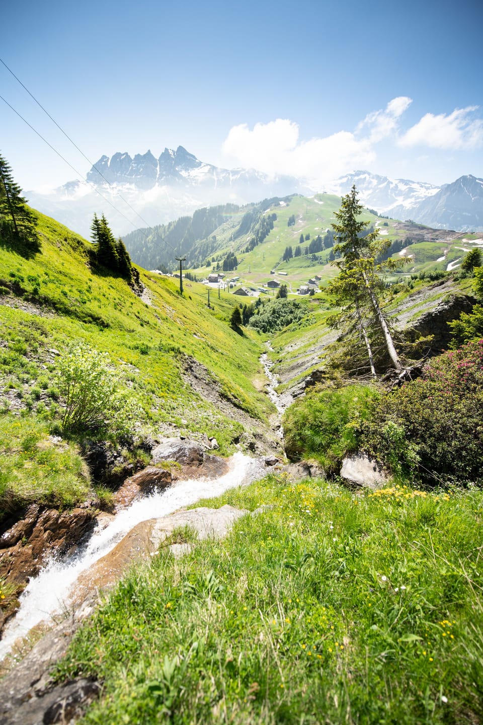 Hiking