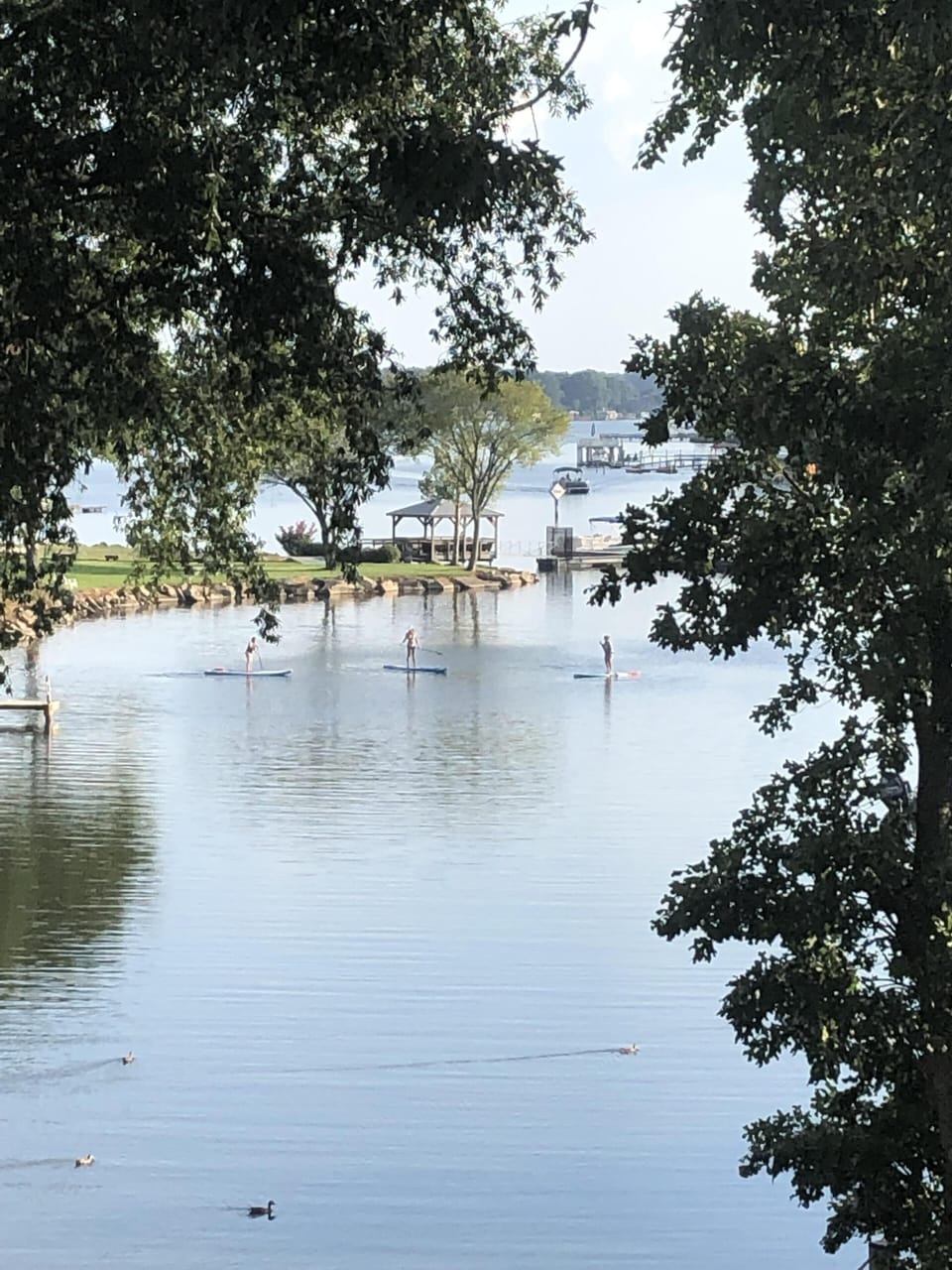 Lake View From Balcony - Paddle Boards