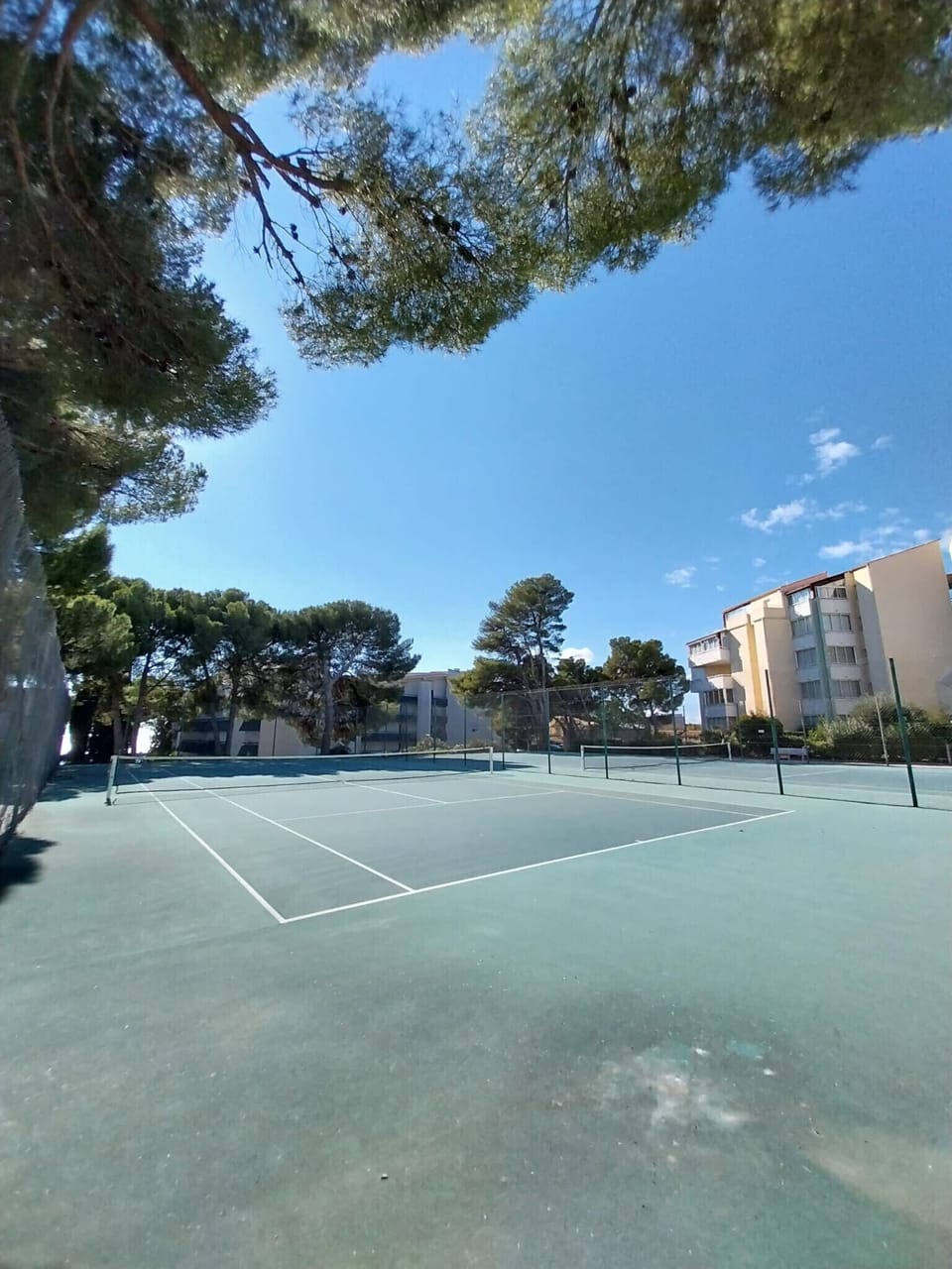 Sport court