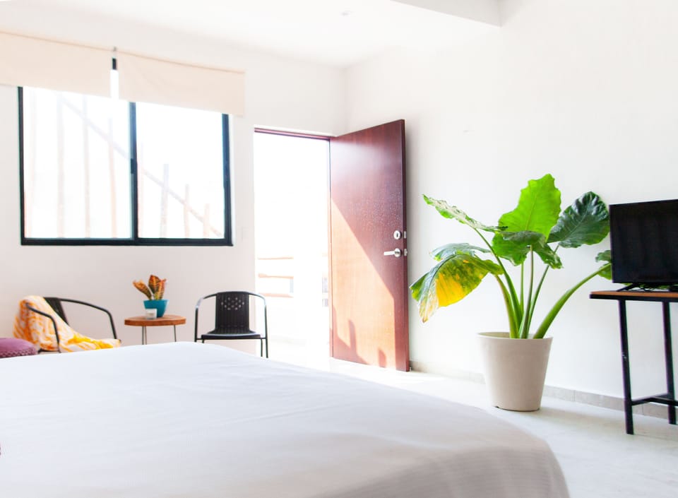 Signature Apartment, 1 King Bed | Individually decorated, desk, blackout drapes, iron/ironing board