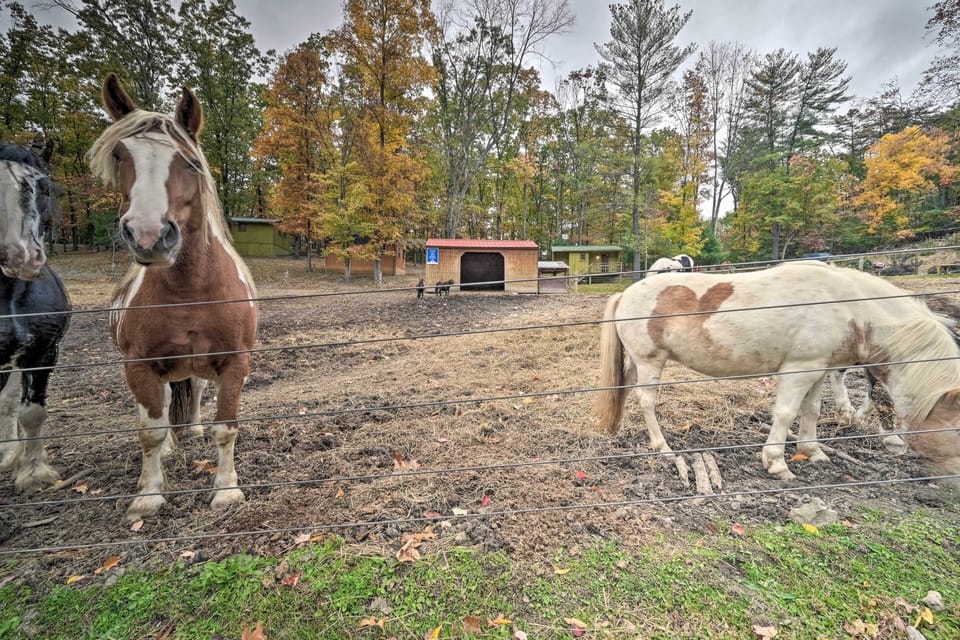 Community Horse Stables