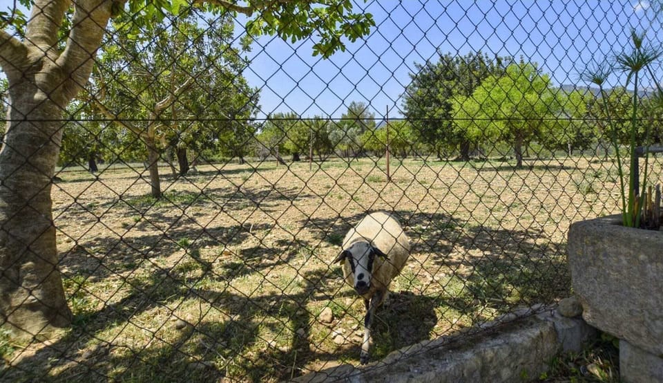 Immediate Surroundings [summer] (<1 km)