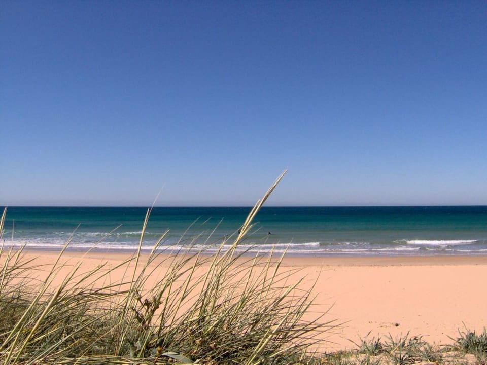 El Palmar...