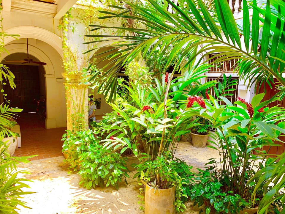 Courtyard garden