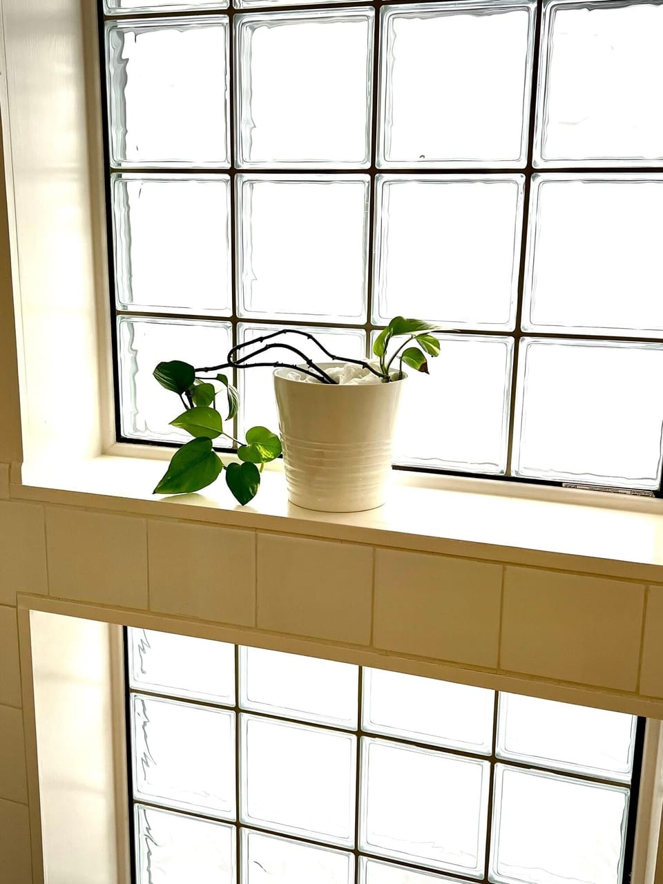 Light and greenery, Marfa House Candelaria bath