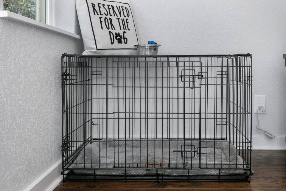Dog Crate and Bowls provided