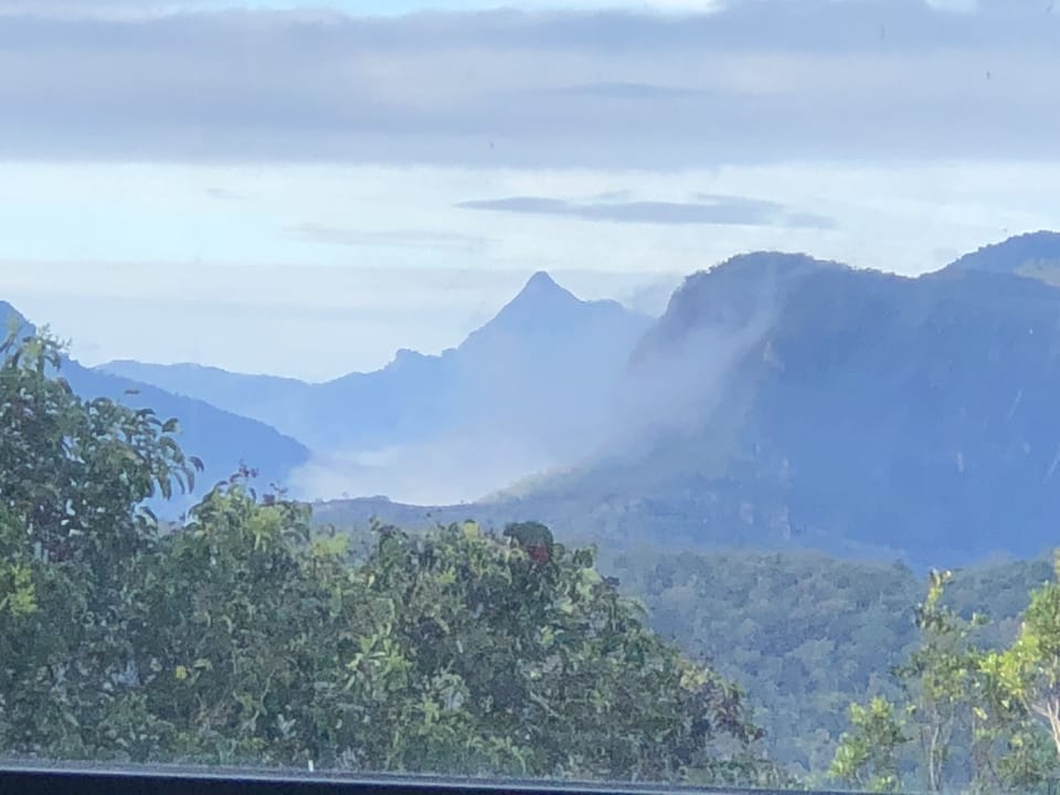 Afternoon valley views